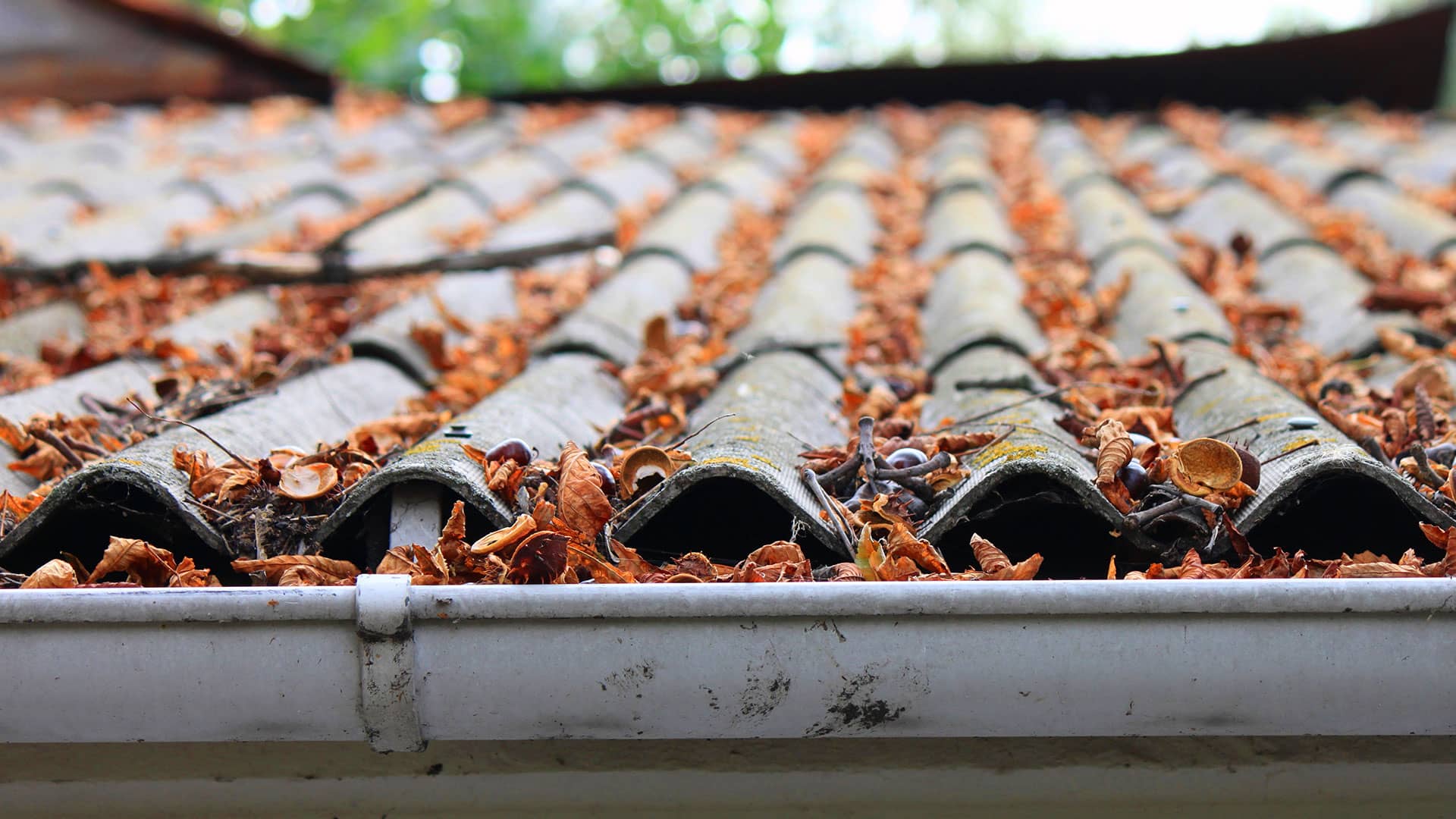 bg-roof-pressure-washing-prescott